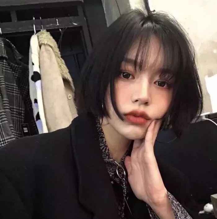 羔羊大律师